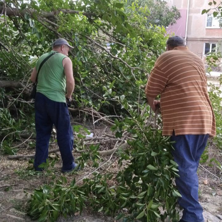 Управляющая компания в кротчайшие сроки реагирует на такие ситуации, как упавшие деревья Управляющая компания в кротчайшие сроки реагирует на такие ситуации, как упавшие деревья