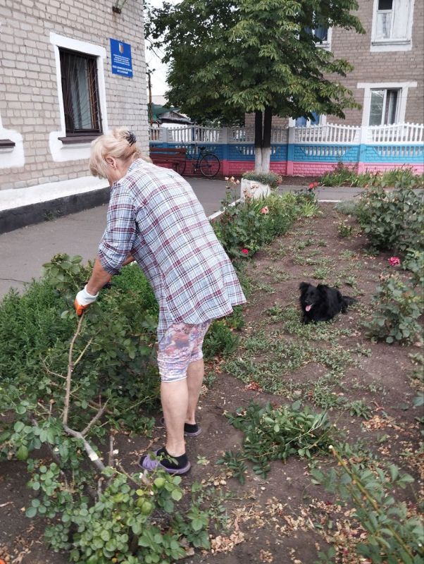 В пгт Кленовый в плане благоустройства сегодня были выполнены работы по уборке прилегающей территории к отделу жизнеобеспечения В пгт Кленовый в плане благоустройства сегодня были выполнены работы по уборке прилегающей территории к отделу жизнеобеспечения