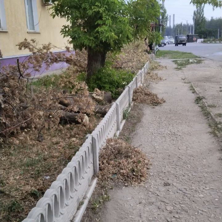 Управляющая компания в кротчайшие сроки реагирует на такие ситуации, как упавшие деревья Управляющая компания в кротчайшие сроки реагирует на такие ситуации, как упавшие деревья