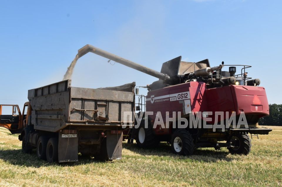 В Белокуракинском округе продолжается уборочная кампания В Белокуракинском округе продолжается уборочная кампания
