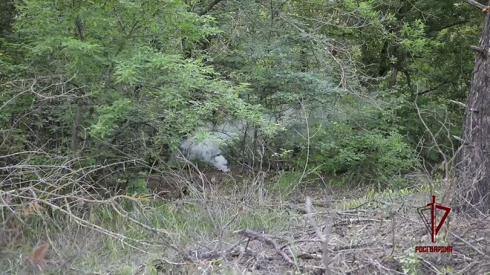 В ЛНР росгвардейцы обнаружили боеприпасы и экстремистские материалы украинских боевиков