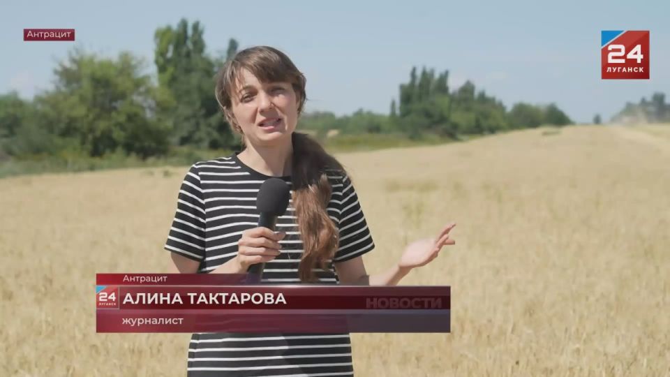 В Антрацитовском округе завершают уборку ячменя