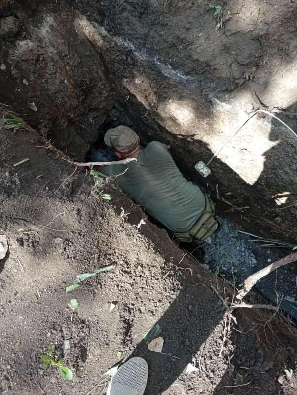 Проведена плановая проверка условий жизни и воспитания ребенка в семье усыновителей Проведена плановая проверка условий жизни и воспитания ребенка в семье усыновителей
