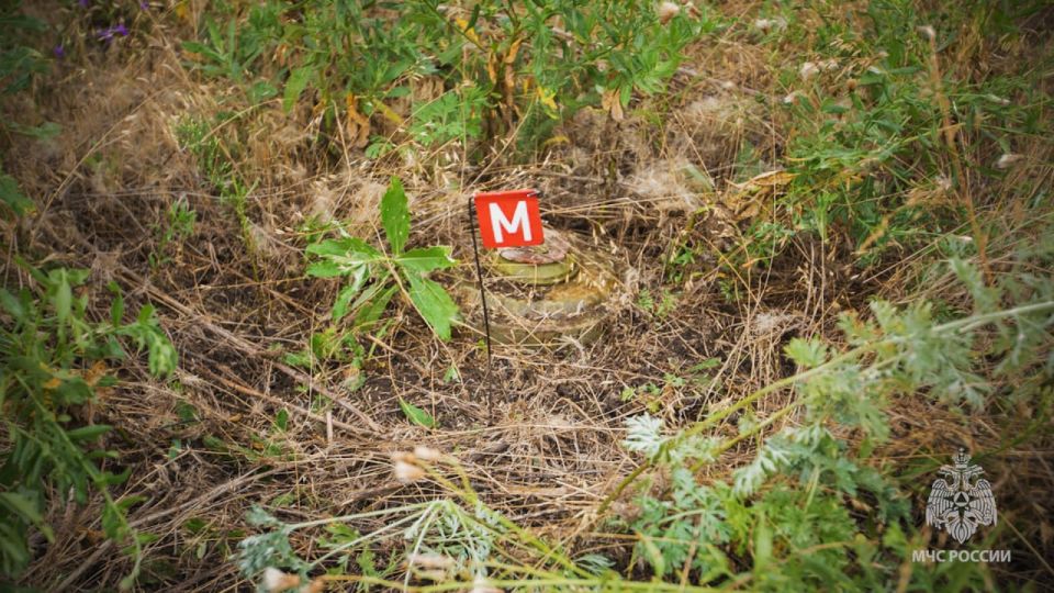 Масштабная работа саперов: обезвреживание опасности на территории Республики Масштабная работа саперов: обезвреживание опасности на территории Республики