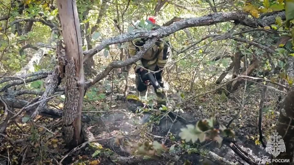 О ландшафтных пожарах на территории Республики