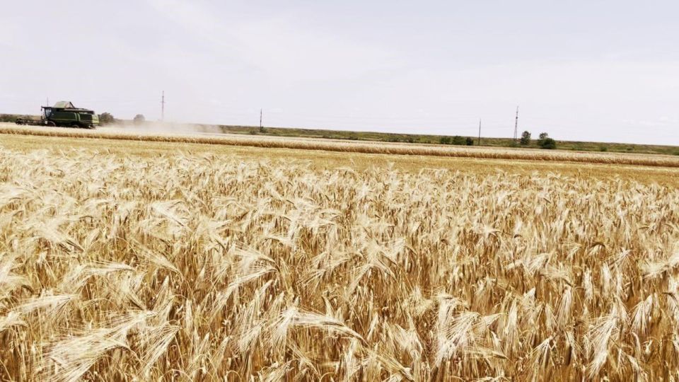 В Ровеньках продолжается уборочная кампания В Ровеньках продолжается уборочная кампания