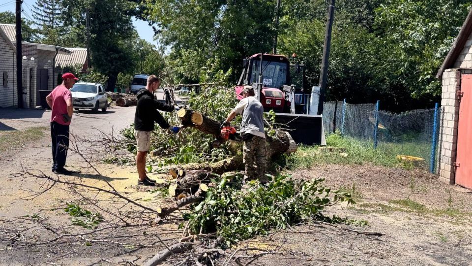 В пгт Дзержинский города Ровеньки, на улице Лизы Чайкиной, специалисты МУП «СКАТ» города Ровеньки выполняют работы по удалению аварийного дерева В пгт Дзержинский города Ровеньки, на улице Лизы Чайкиной, специалисты МУП «СКАТ» города Ровеньки выполняют работы по удалению аварийного дерева
