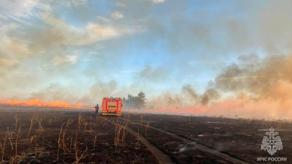 Практически все травяные палы происходят по вине человека Практически все травяные палы происходят по вине человека