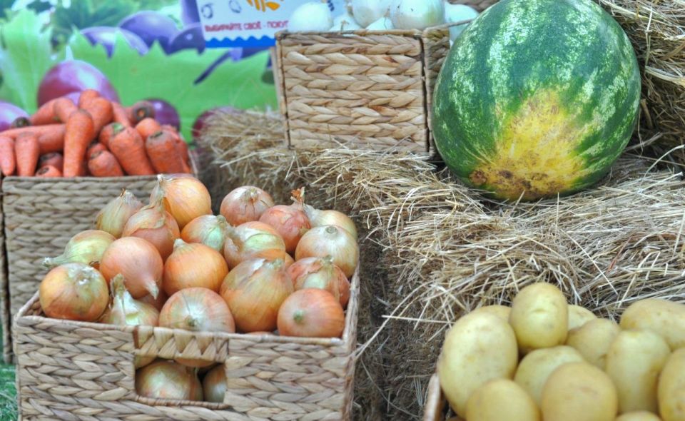 В Ростовской области заработал агроагрегатор фермерской продукции В Ростовской области заработал агроагрегатор фермерской продукции