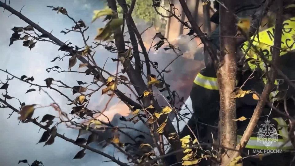 Двое человек спасены на пожаре в Брянке