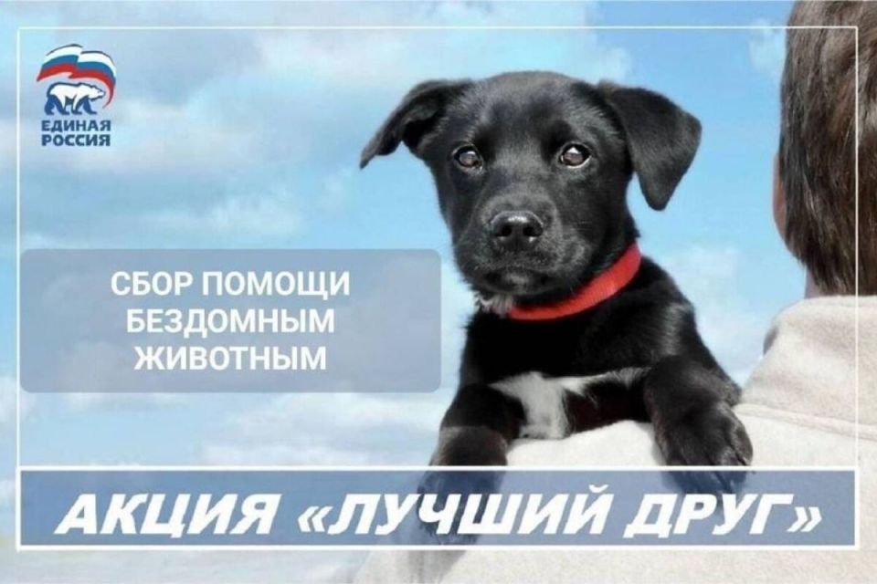 Сергей Саенко: В Антраците продолжаются работы по благоустройству пешеходных зон Сергей Саенко: В Антраците продолжаются работы по благоустройству пешеходных зон