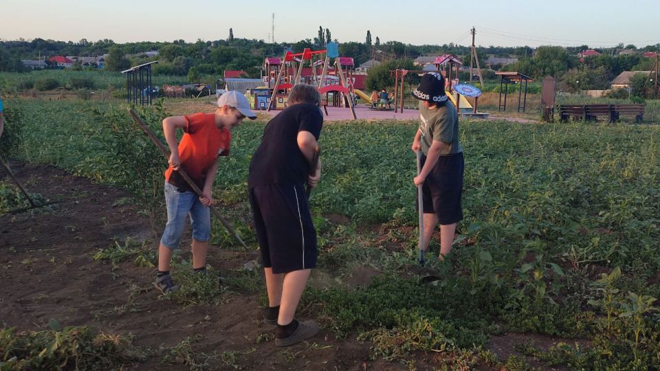 Активисты «Движения Первых» Михайлюковской школы не сидят на месте и с энтузиазмом взялись за Сад Памяти Активисты «Движения Первых» Михайлюковской школы не сидят на месте и с энтузиазмом взялись за Сад Памяти