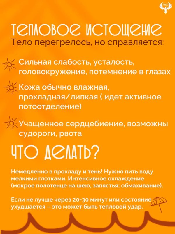 Тепловой удар: Что это и как не свариться заживо в летнюю жару и спасти друга Тепловой удар: Что это и как не свариться заживо в летнюю жару и спасти друга
