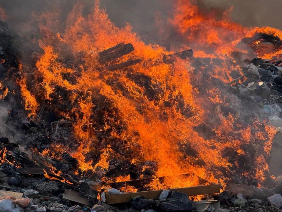 Защита природы от пожаров - наше общее дело Защита природы от пожаров - наше общее дело