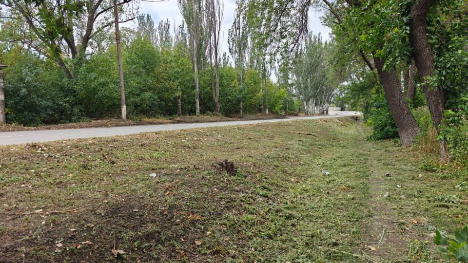 Виктория Сергеева: Коммунальщики в действии. В Кировске активно ведутся работы по благоустройству Виктория Сергеева: Коммунальщики в действии. В Кировске активно ведутся работы по благоустройству