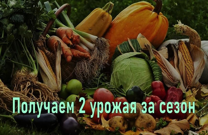 Воронежские строители заканчивают ремонт кровли средней школы в селе Рыбянцево Воронежские строители заканчивают ремонт кровли средней школы в селе Рыбянцево