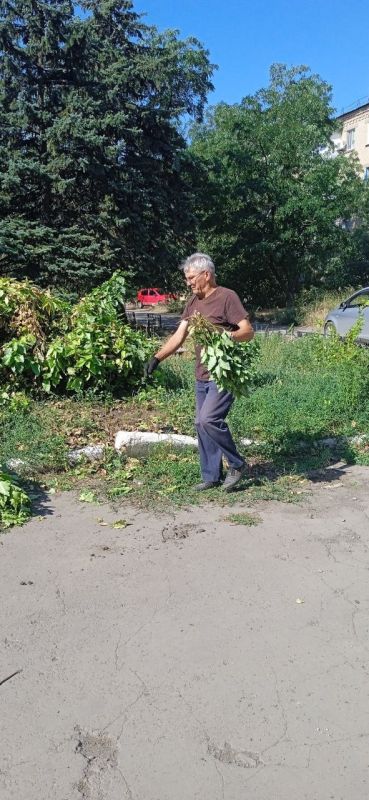 В рамках благоустройства территории, детская школа искусств №1 успешно организовала мероприятия по покосу травы В рамках благоустройства территории, детская школа искусств №1 успешно организовала мероприятия по покосу травы