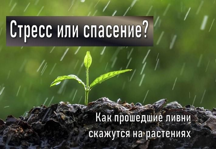 В детском саду «Журавушка» в Новопсковском муниципальном округе проводятся работы по монтажу блочно-модульной котельной В детском саду «Журавушка» в Новопсковском муниципальном округе проводятся работы по монтажу блочно-модульной котельной
