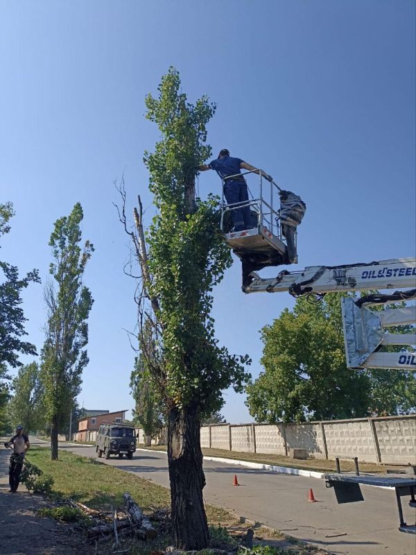 Ульяновские коммунальщики оказали помощь Лутугинскому муниципальному округу в обрезке деревьев Ульяновские коммунальщики оказали помощь Лутугинскому муниципальному округу в обрезке деревьев