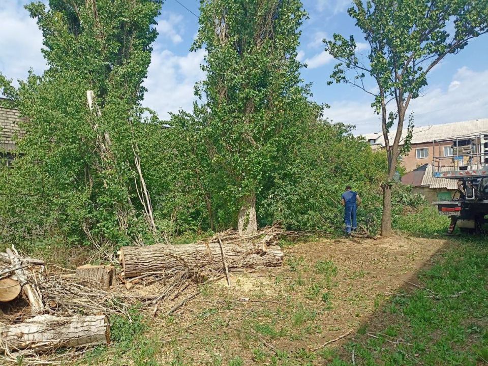 Ульяновские коммунальщики оказали помощь Лутугинскому муниципальному округу в обрезке деревьев Ульяновские коммунальщики оказали помощь Лутугинскому муниципальному округу в обрезке деревьев