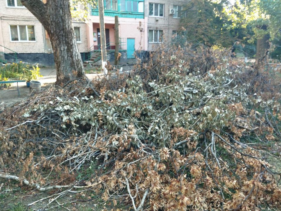 МОНИТОРИНГ СОСТОЯНИЯ ДВОРОВЫХ ТЕРРИТОРИЙ В КРАСНОМ ЛУЧЕ МОНИТОРИНГ СОСТОЯНИЯ ДВОРОВЫХ ТЕРРИТОРИЙ В КРАСНОМ ЛУЧЕ