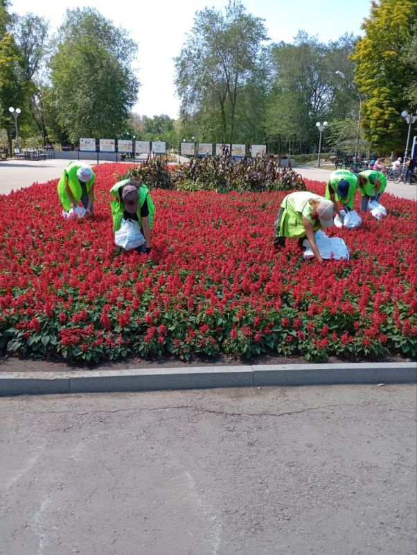 В луганском "Зеленстрое" работают молодые ребята из Российских студенческих отрядов В луганском "Зеленстрое" работают молодые ребята из Российских студенческих отрядов