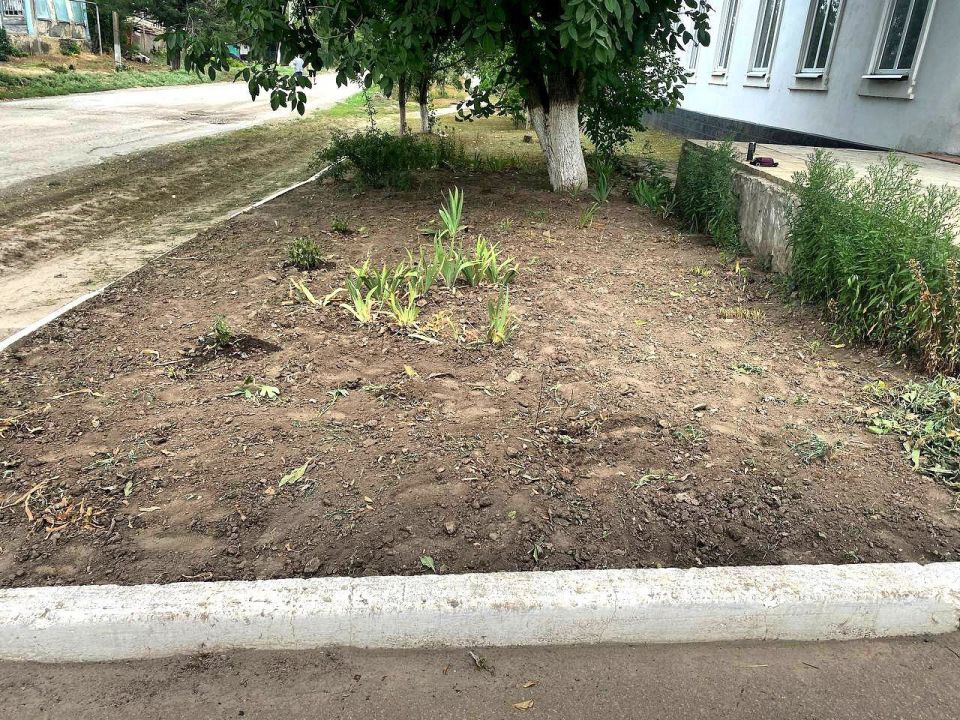 Привели в порядок территорию рядом с административным зданием Привели в порядок территорию рядом с административным зданием