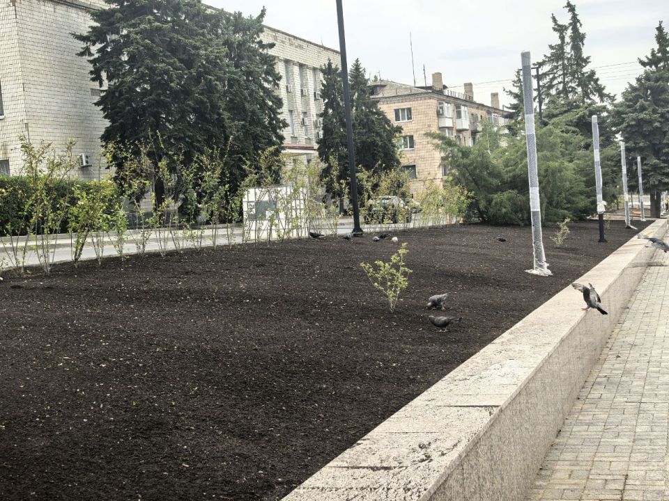 Сергей Козенко: В Краснодоне продолжаются работы по благоустройству Аллеи Дружбы – одного из знаковых мест города Сергей Козенко: В Краснодоне продолжаются работы по благоустройству Аллеи Дружбы – одного из знаковых мест города