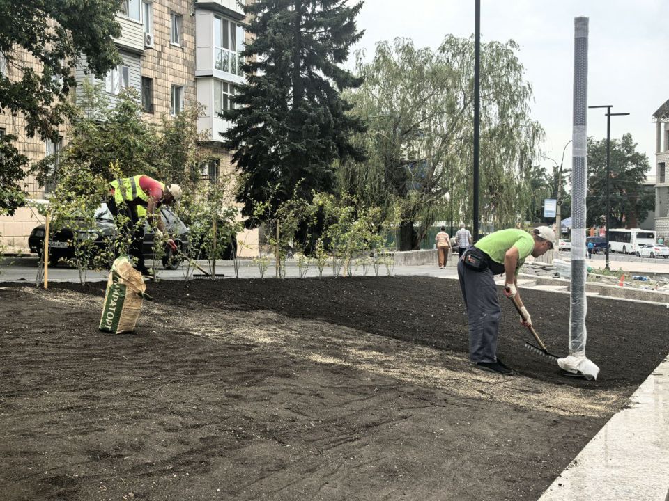 Сергей Козенко: В Краснодоне продолжаются работы по благоустройству Аллеи Дружбы – одного из знаковых мест города Сергей Козенко: В Краснодоне продолжаются работы по благоустройству Аллеи Дружбы – одного из знаковых мест города