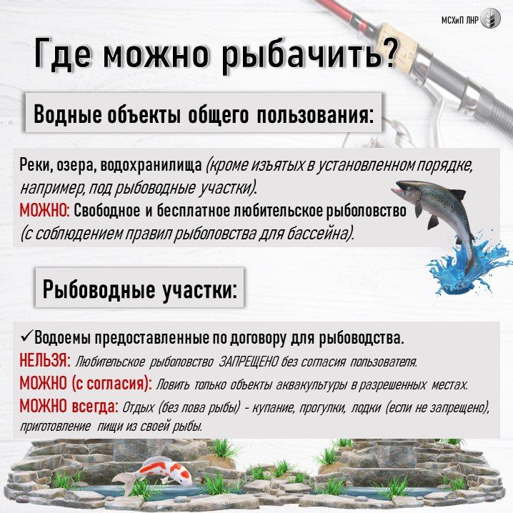 Отдел животноводства (рыбоводства) Минсельхоза ЛНР отвечает на частые вопросы о рыбалке на рыбоводных участках Отдел животноводства (рыбоводства) Минсельхоза ЛНР отвечает на частые вопросы о рыбалке на рыбоводных участках