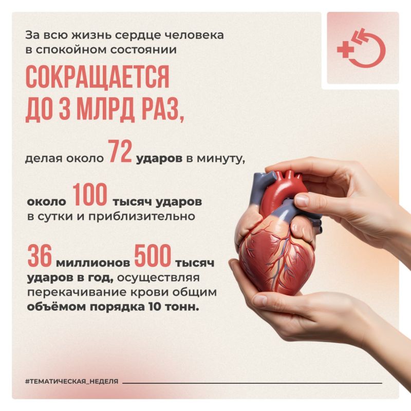 11 августа отмечается Международный день здорового сердца 11 августа отмечается Международный день здорового сердца