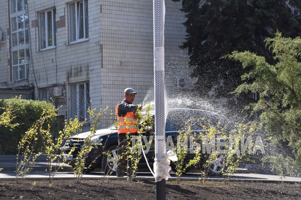 В Краснодоне на аллее Дружбы установили скульптуры шахтера и нефтяника и приступили к озеленению В Краснодоне на аллее Дружбы установили скульптуры шахтера и нефтяника и приступили к озеленению