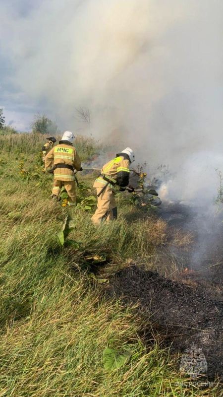 И вновь продолжается бой с сухотравными пожарами в республике И вновь продолжается бой с сухотравными пожарами в республике