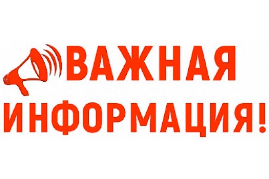 Герой, мечтавший о небе: Владимир Куликов и его вклад в "Молодую гвардию" Герой, мечтавший о небе: Владимир Куликов и его вклад в "Молодую гвардию"