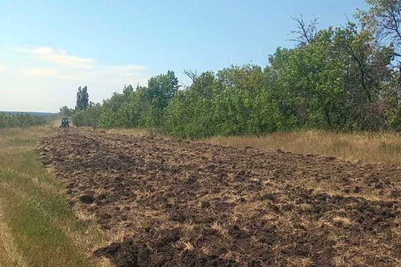 На Новоборовицкой территории проводится обустройство минполос На Новоборовицкой территории проводится обустройство минполос