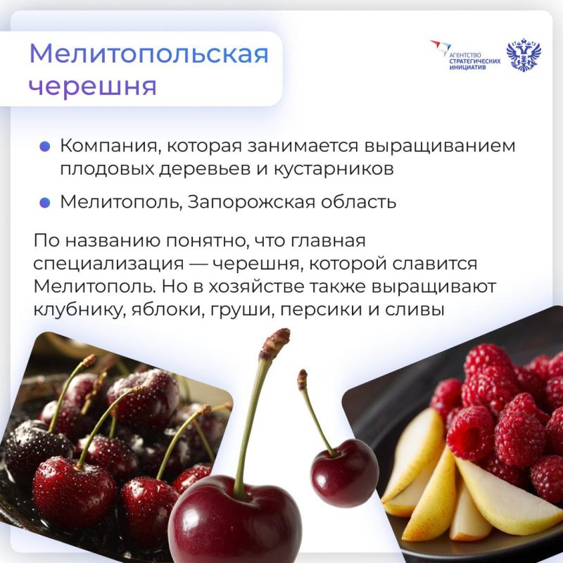Исторические регионы — новые бренды на карте России Исторические регионы — новые бренды на карте России
