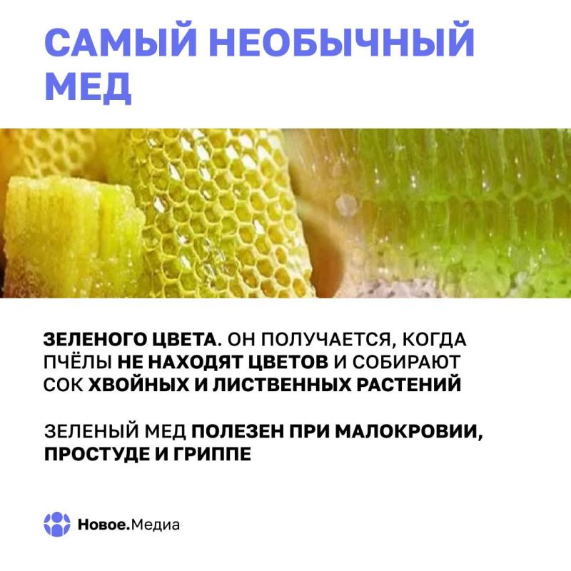 Медовый Спас: самый сладкий день в году Медовый Спас: самый сладкий день в году