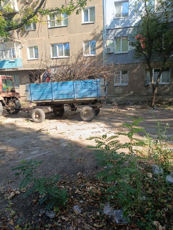 В Стаханове ведутся работы по уборке веток и сухостоя В Стаханове ведутся работы по уборке веток и сухостоя