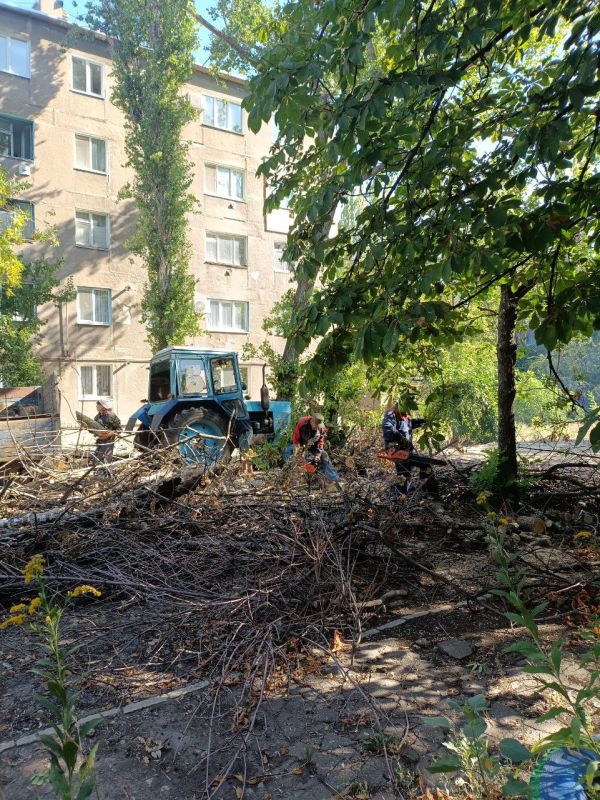 В Стаханове ведутся работы по уборке веток и сухостоя В Стаханове ведутся работы по уборке веток и сухостоя