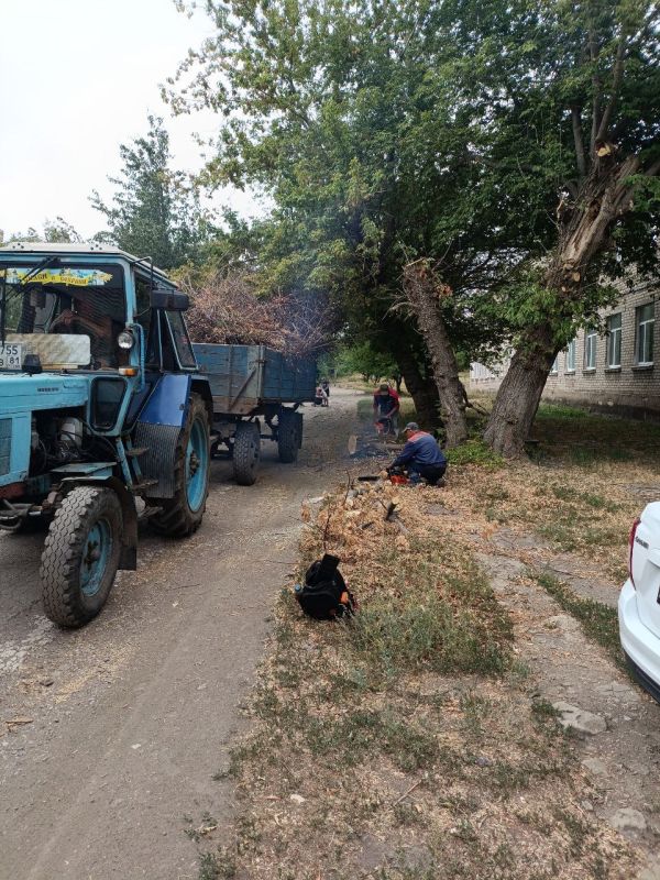 В Стаханове ведутся работы по уборке веток и сухостоя В Стаханове ведутся работы по уборке веток и сухостоя