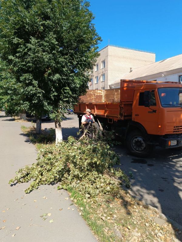 В Стаханове ведутся работы по уборке веток и сухостоя В Стаханове ведутся работы по уборке веток и сухостоя