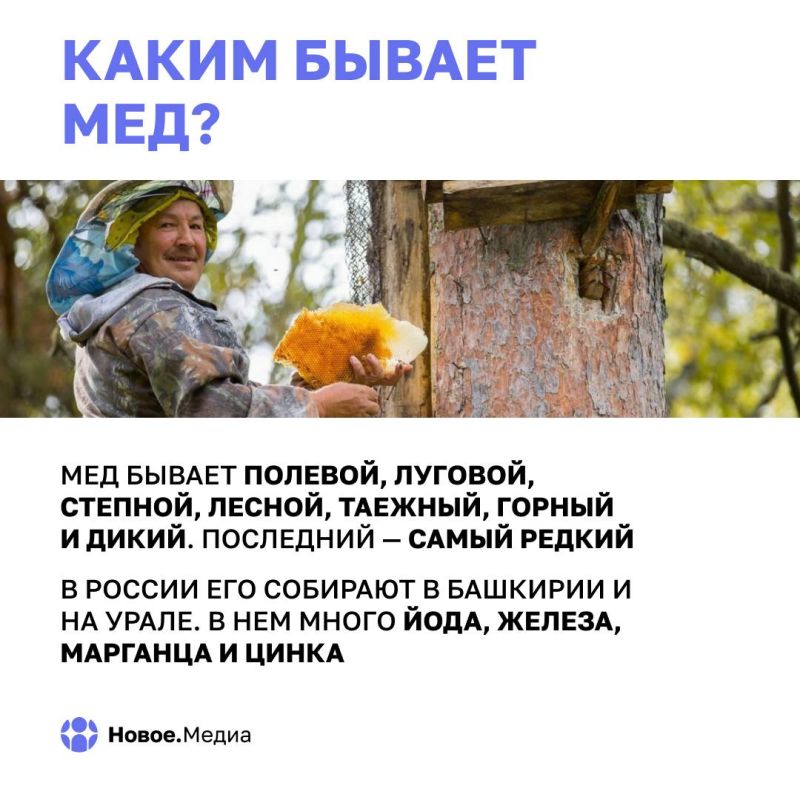 Медовый Спас: самый сладкий день в году Медовый Спас: самый сладкий день в году