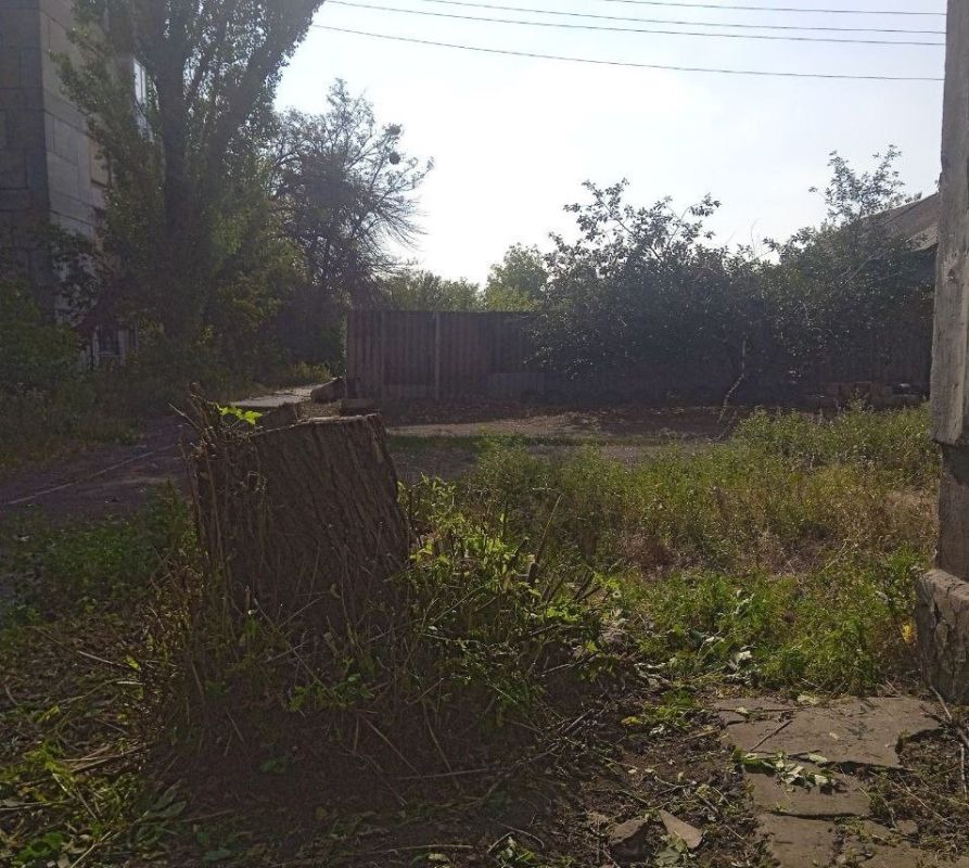 Чистота в городе является нашей сферой ответственности Чистота в городе является нашей сферой ответственности