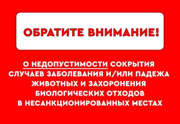В Лутугинском муниципальном округе состоялось заседание совета Ветеранов В Лутугинском муниципальном округе состоялось заседание совета Ветеранов