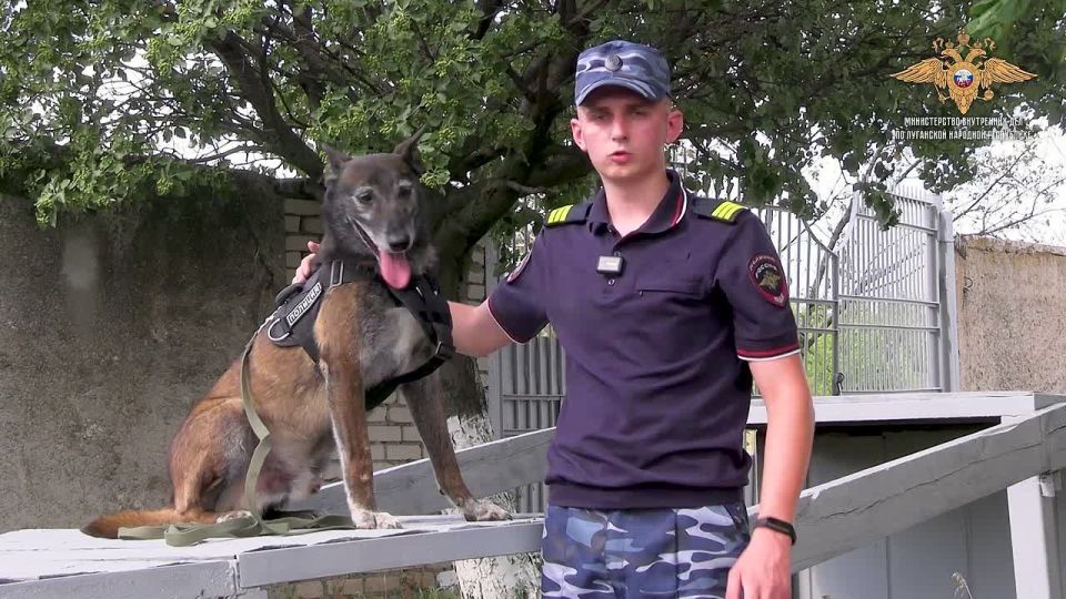 Стражи правопорядка в Луганской Народной Республике защищают закон и ведут непримиримую борьбу с преступностью в непростых условиях