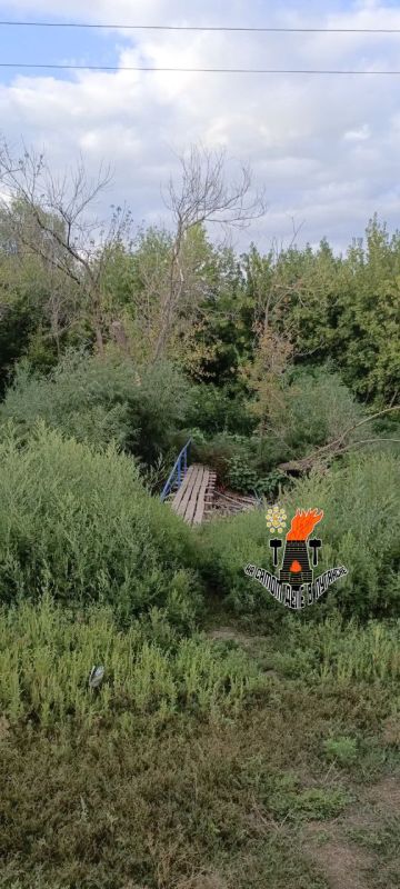 Помите зоопарк и выставку возле «Ночных волков» Помите зоопарк и выставку возле «Ночных волков»