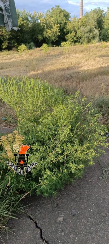 Помите зоопарк и выставку возле «Ночных волков» Помите зоопарк и выставку возле «Ночных волков»