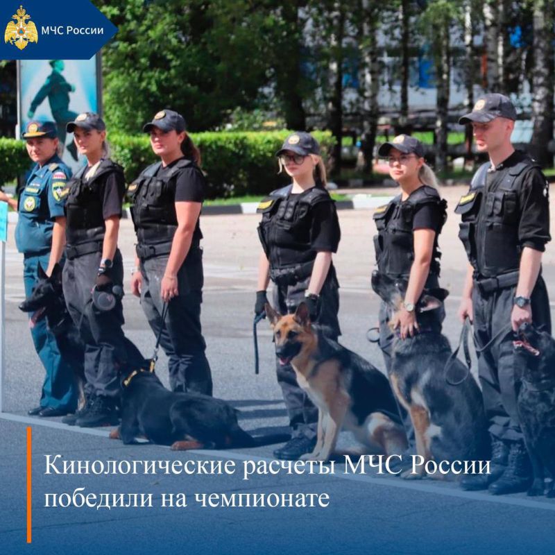 МЧС России, итоги за неделю: МЧС России, итоги за неделю: