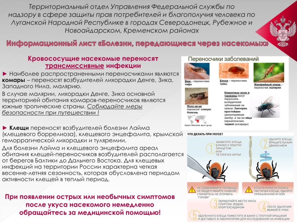 РОСПОТРЕБНАДЗОР информирует граждан РОСПОТРЕБНАДЗОР информирует граждан
