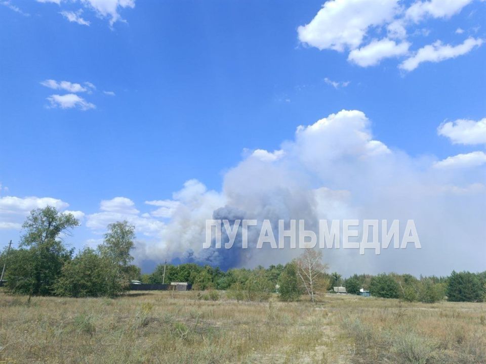 В Станично-Луганском округе из-за пожаров введен режим чрезвычайной ситуации